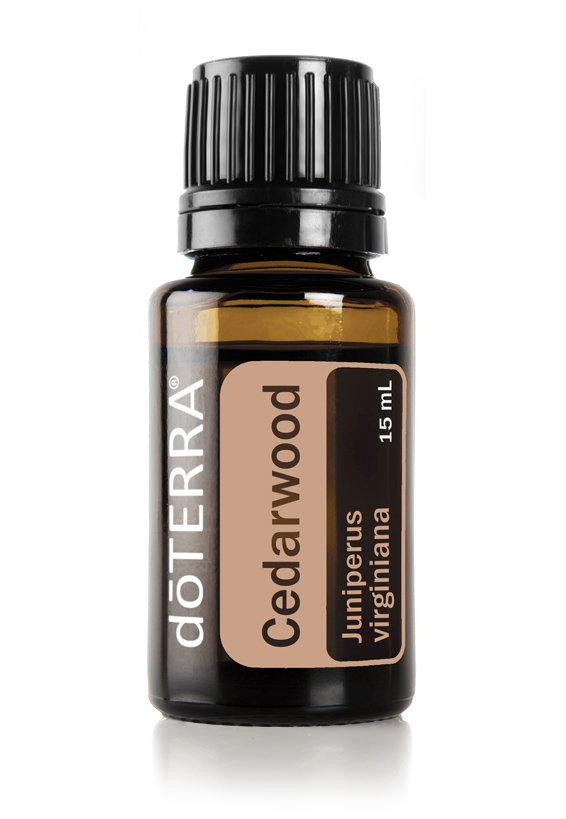 Cedarwood doTERRA Essential Oil